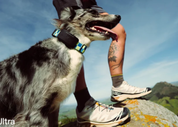 Fi Ultra Review: Is The First Starlink-Powered Pet Tracker Worth It?
