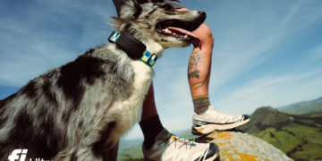 Fi Ultra Review: Is The First Starlink-Powered Pet Tracker Worth It?